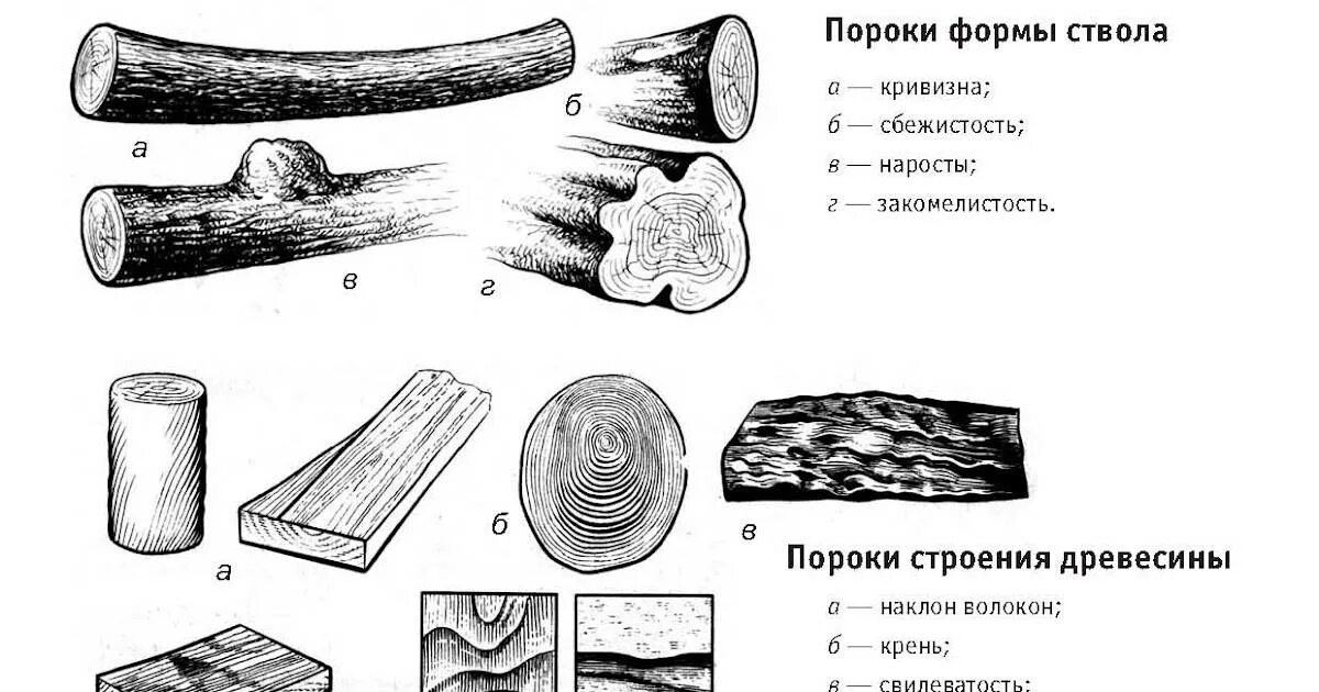 Как называется природный рисунок на поверхности древесины. Пороки древесины сбежистость. пороки строения древесины водослой. пороки древесины закомелистость. пороки формы ствола древесины.