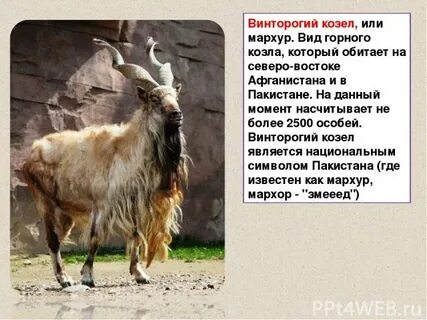 Где живет козел