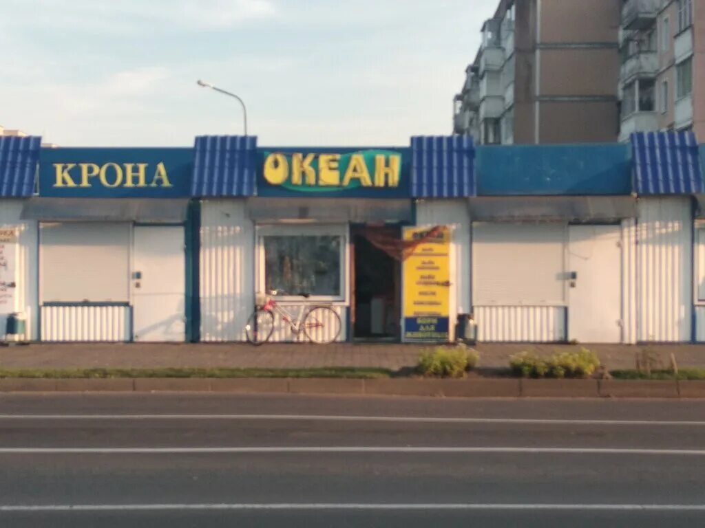 Океан график работы. Советский магазин океан. Океан Фиш магазин. Океан СССР рыбный магазин.
