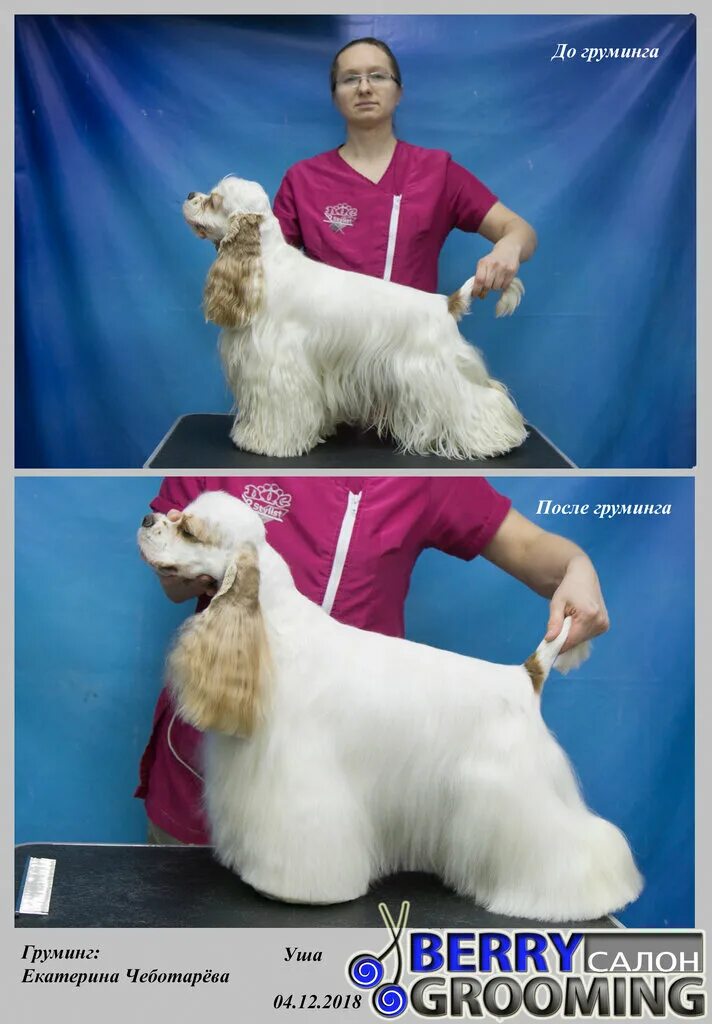 московский грумер