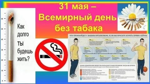 Всемирный день без табака в мае