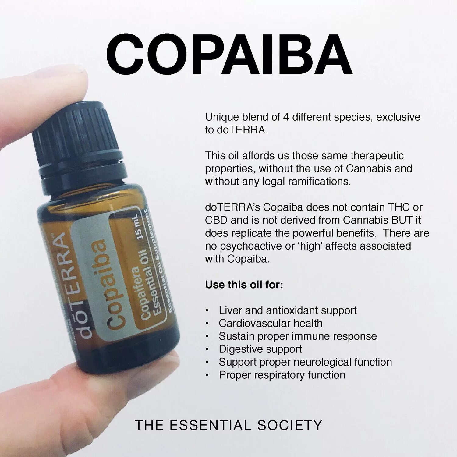 DOTERRA Копайба. Копайба эфирное масло ДОТЕРРА. Копайба ДОТЕРРА описание. Копайба роллер ДОТЕРРА.