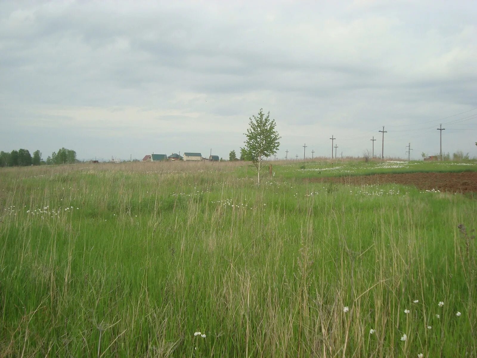 земельные участки в пределах береговой полосы. береговая полоса водного объекта. деревня кзыл-иль. земельные участки в пределах береговой полосы. забор на берегу реки.