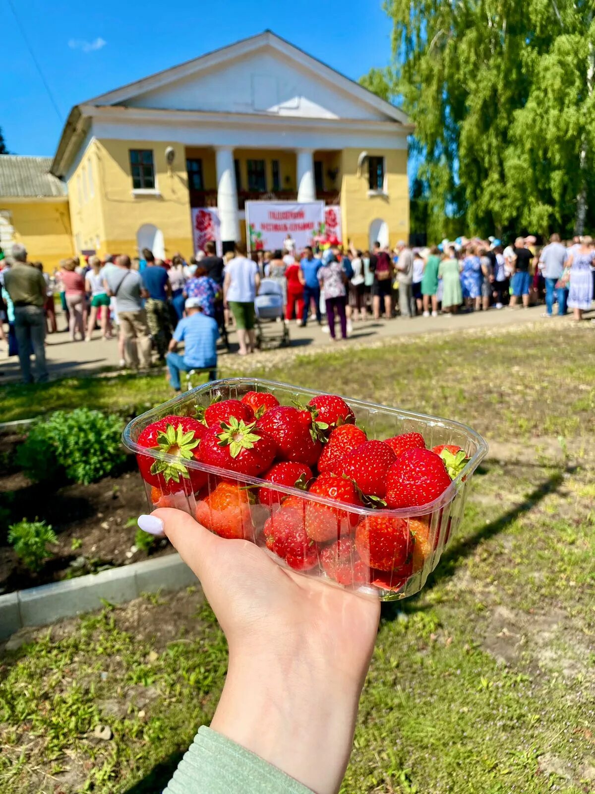 Ярмарка всего. День клубники в подозерском 2024. Кубанская клубника. Фестиваль клубники подозерский. День клубники в подозерском 2024.