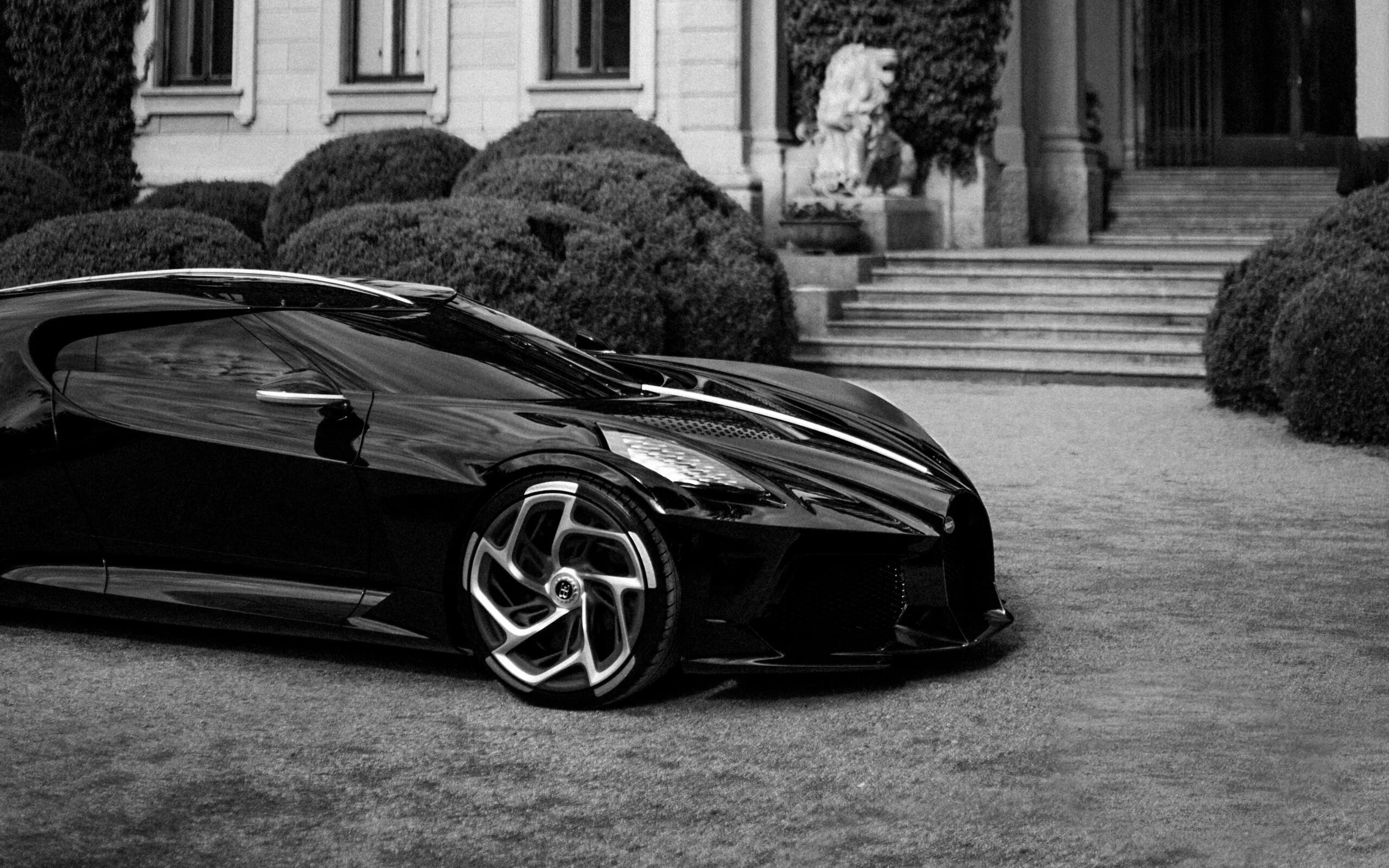 Бентли континенталь чёрно белая. Ламборджини галлардо белая. Ford gt supercar. Бело черный авто. Порше панамера белая с черными крышами.