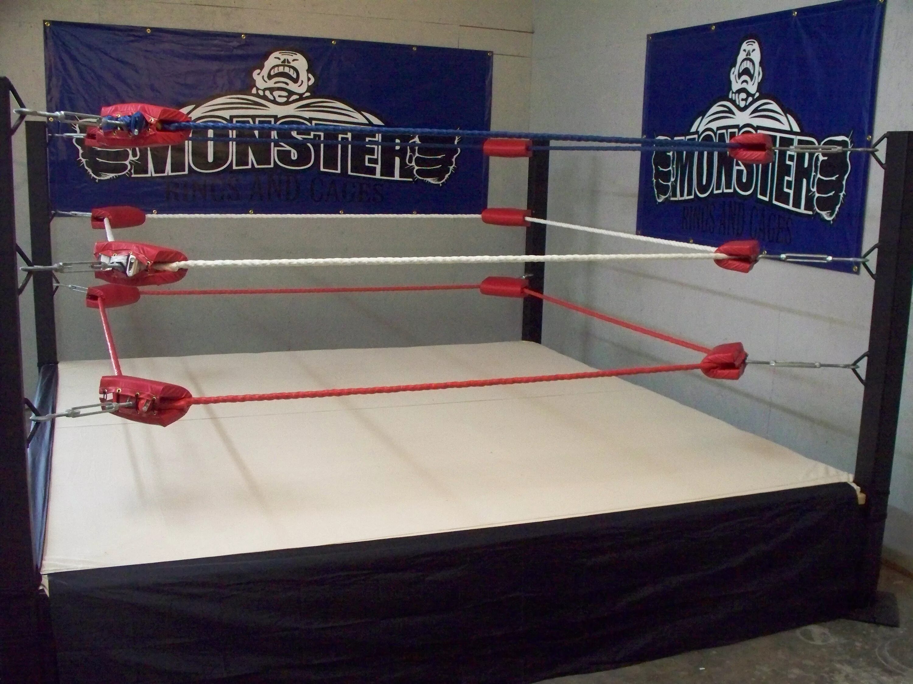 Wrestling ring
