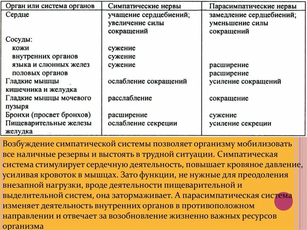 Симпатические нервы оказывают влияние. Стимуляция симпатической нервной системы. Повышение тонуса симпатической нервной системы. При возбуждении симпатического отдела нервной системы. Эффекты симпатической и парасимпатической систем.