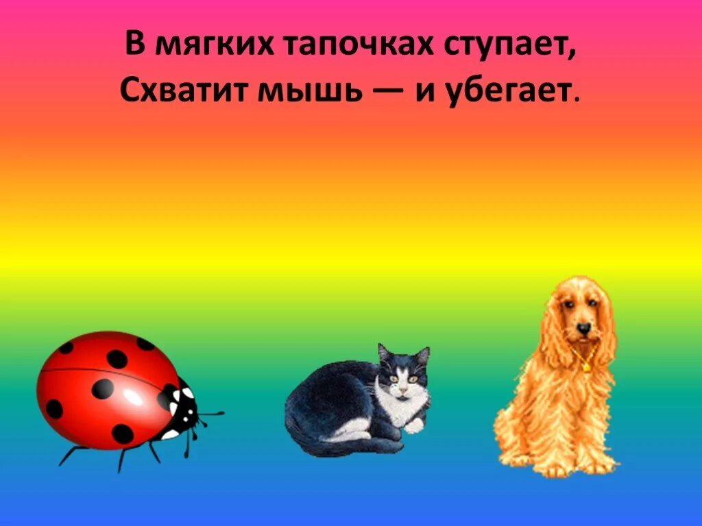 Загадки о дом животных. Домашние животные. загадки.