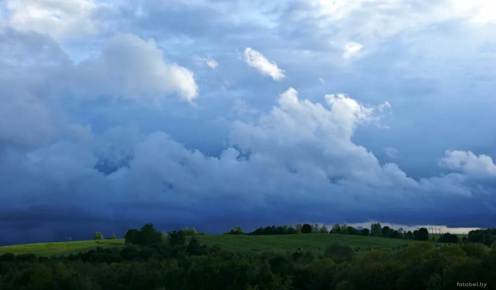 под небом беларуси. день независимости беларуси. пейзажи беларуси поля. под небом беларуси. приволье.