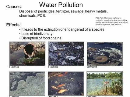 Contamination перевод