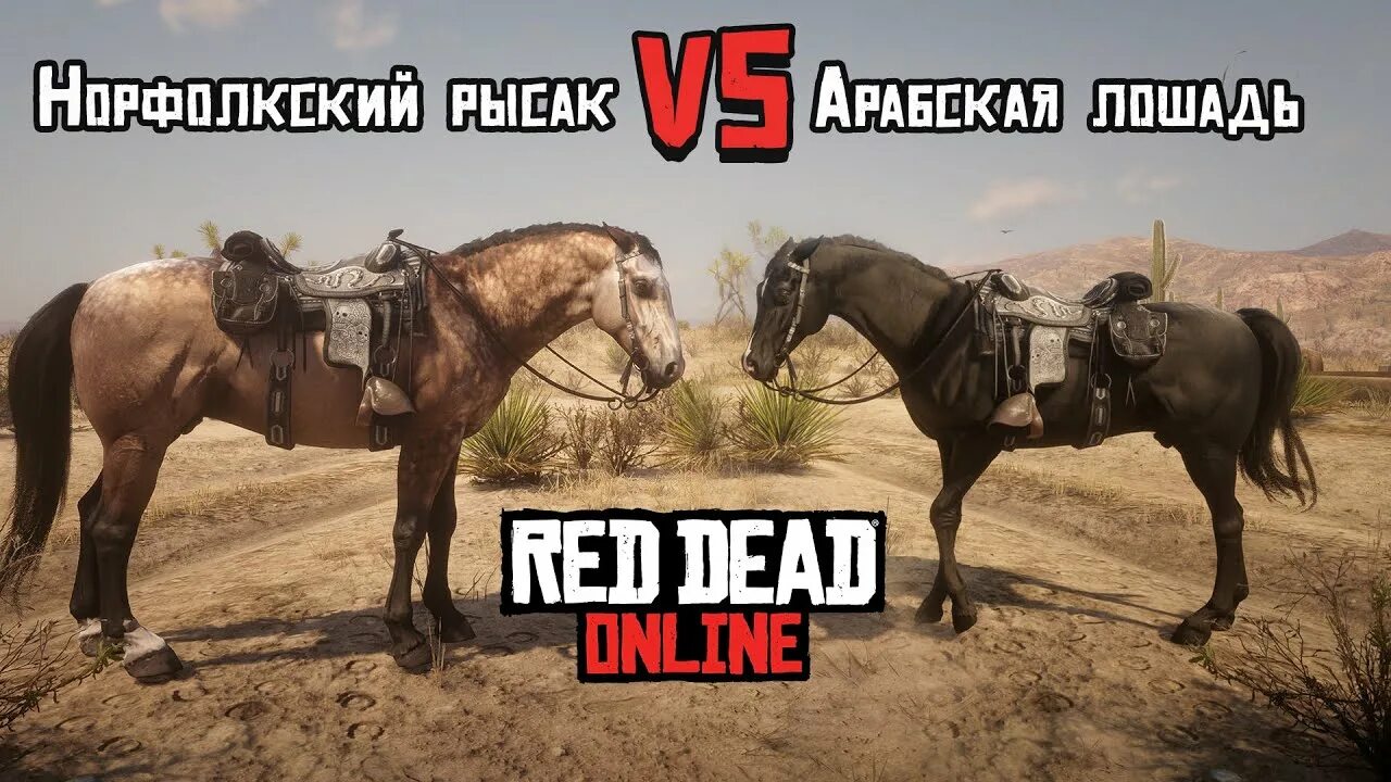 Rdr 2 найти лучшую лошадь. Red dead redemption 2 арабский скакун. фокстроттер лошадь в rdr2. лучшие лошади в rdr 2 online. миссурийский фокстроттер рдр 2.
