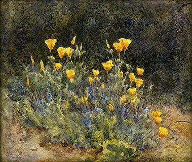 Helen the flowers