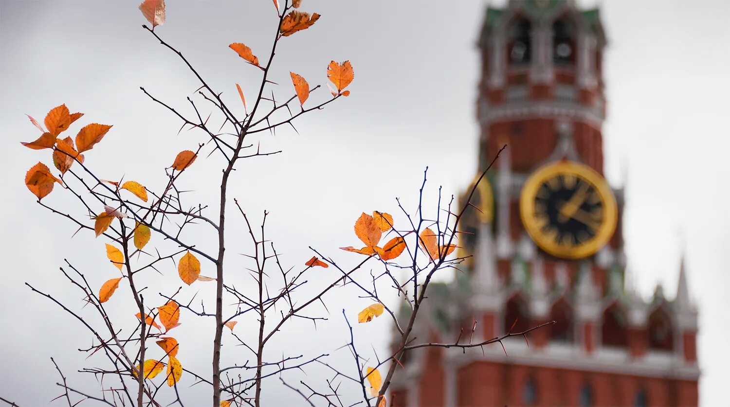 Октября станет в россии. Осень в Москве. Москва осенью. Осень октябрь Москва. Теплая осень в Москве.