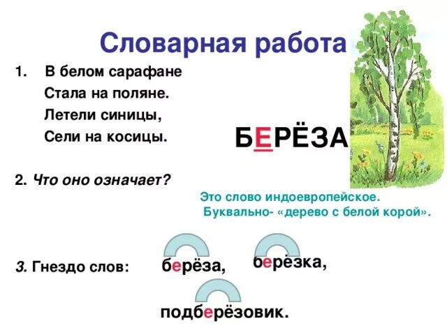 Словарная работа береза. Словарное слово береза в картинках. Словаонон слово бер. Словарное слово береза 2 класс. Березка однокоренные