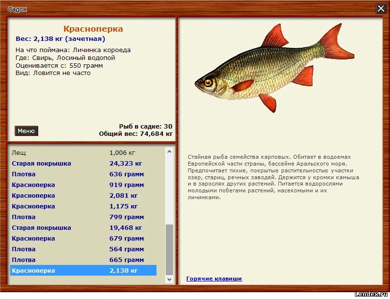 Где собирается рыба