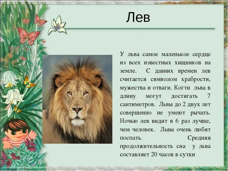 Что можно есть львам. Лев характеристика. Характер Льва. Описание Льва. Лев знак зодиака характеристика.