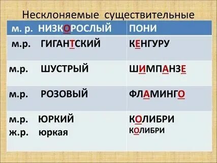 Существительное 5 букв вторая з