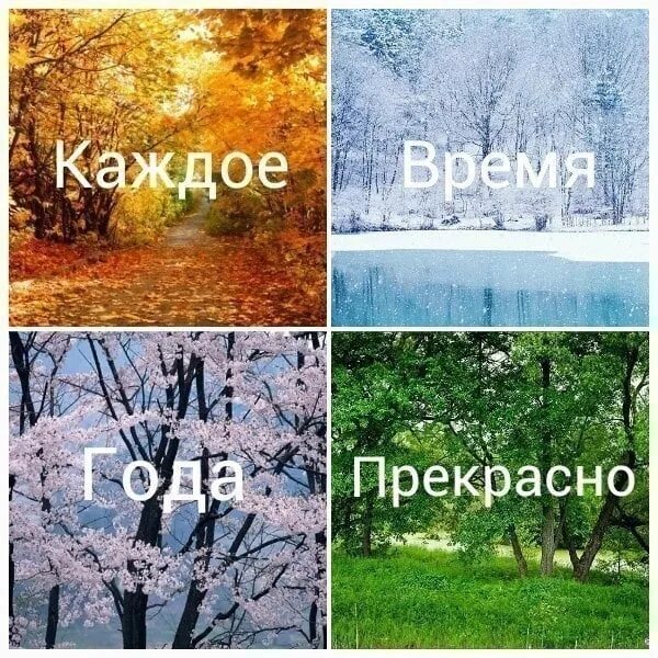 Любое время года здесь. Каждое время года. каждое время года прекрасно. времена года прекрасны по своему. все времена года с надписями.