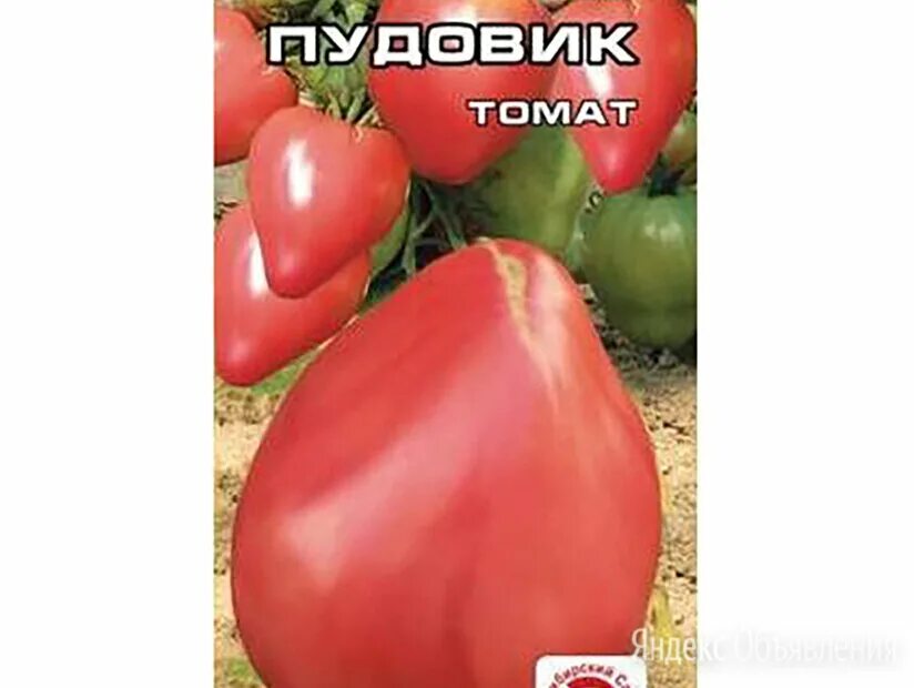томат пудовик 20шт/10. семена томат пудовик. томат пудовик 20шт сиб сад. пудовик томат описание и фото отзывы. семена томат пудовик.