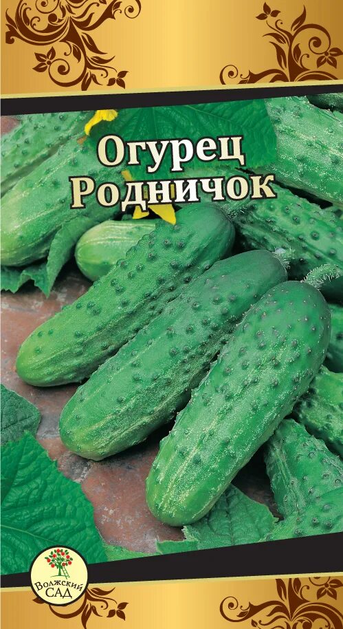 Родничок 10. Огурец Родничок f1. Сорт огурцов Родничок. Огурец Родничок f1 ау.