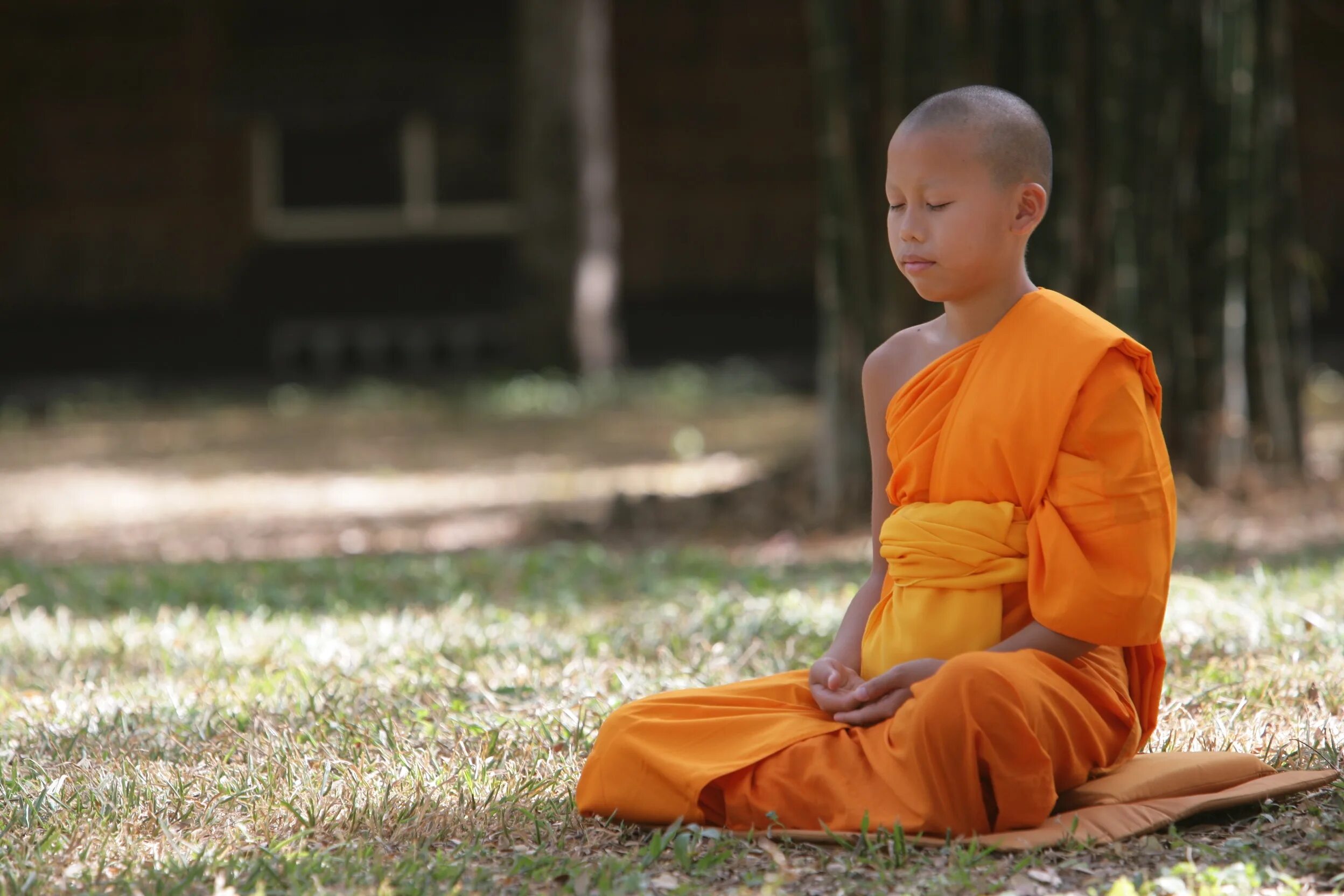 Тхеравада-хинаяна. Буддистский монах Тибет. Буддийский монах Тхеравада. Будда сенсей.