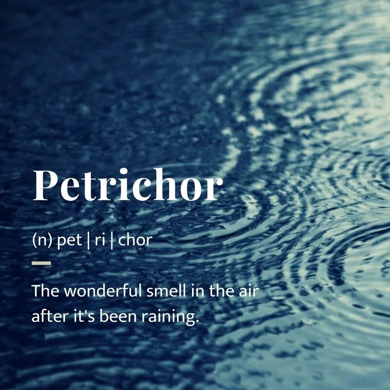 N a means. Петрикор. Запах петрикор. Петрикор духи. Petrichor meaning.