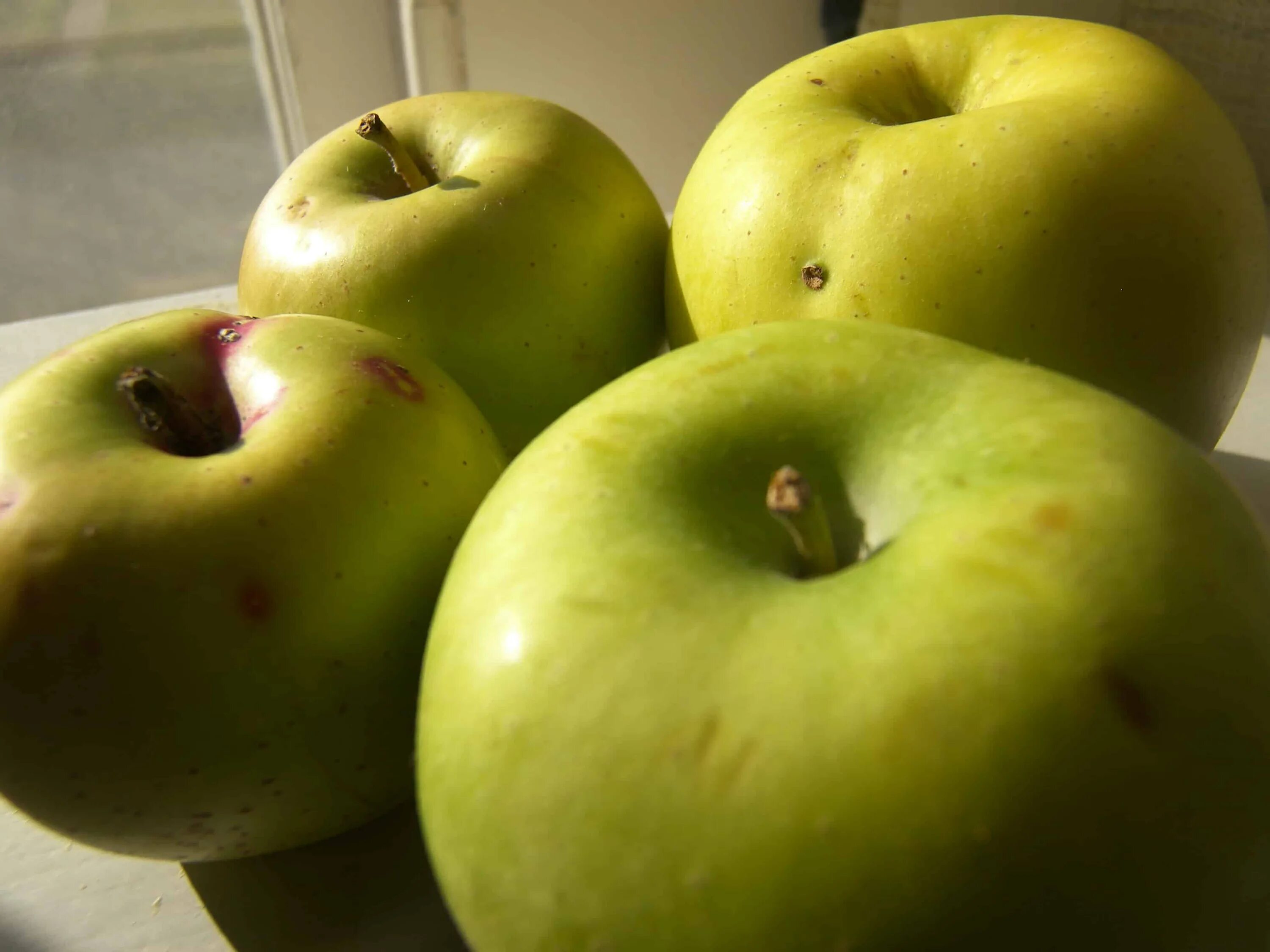 Крупные яблоки. Яблоки зеленые. Зеленые яблоки импортные. Яблоко крупно зеленое. Сорт крупных яблок