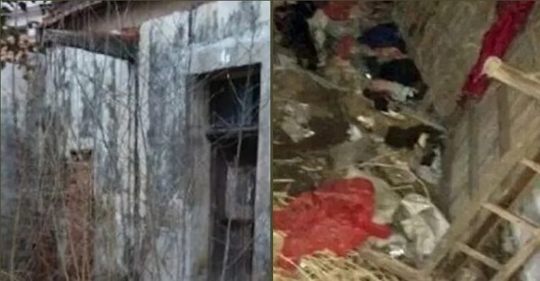 сын запертых в подвале