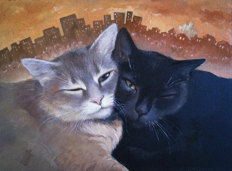 Картинки двух кошек