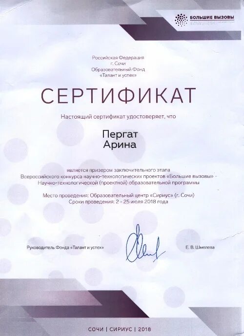 сертификат сириус. грамота сириус. сириус сертификат математика. сириус сертификаты. сириус сертификат участника.