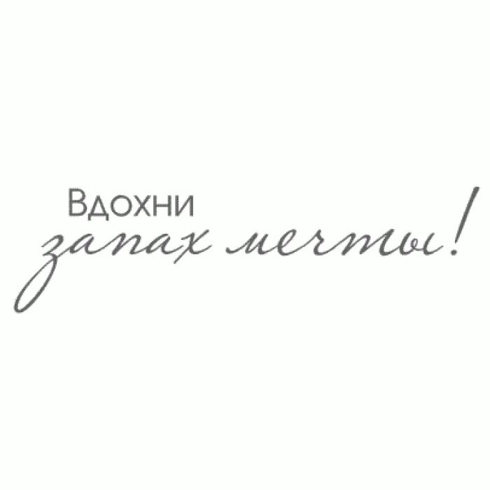 Надпись мечтай твои мечты. Красивая надпись Мечтай. Мечта надпись. Надпись мечты сбываются для скрапбукинга. Пусть мечты сбываются надпись.