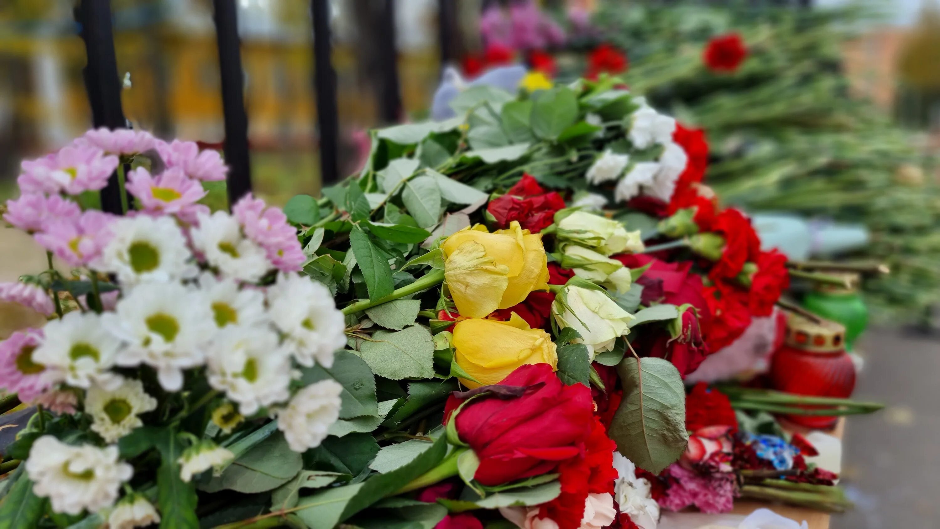 Ижевск соболезнования. Цветы в память погибших в Ижевске. Соболезнование турецкому народу фото. Аллея жертв поименно 20 сентября 2021 ПГНИУ.