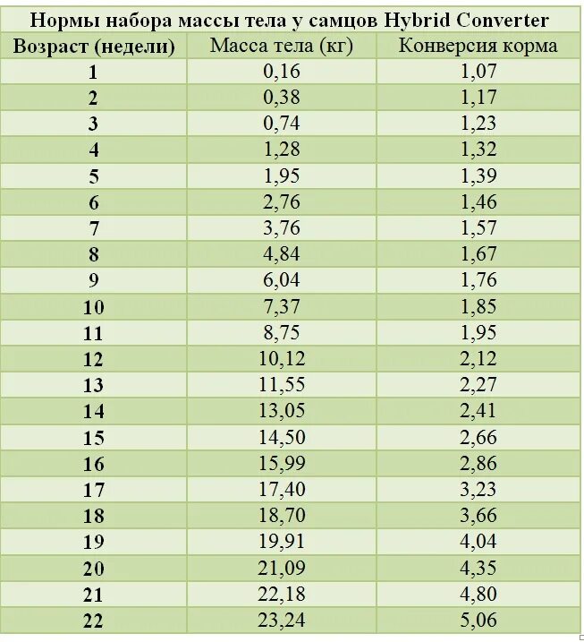 Содержание хайбрид конвертер. Таблица веса индюков Хайбрид. Таблица веса индюшат Хайбрид конвертер. Таблица роста индюков Хайбрид. Таблица веса индюков Хайбрид конвертер.