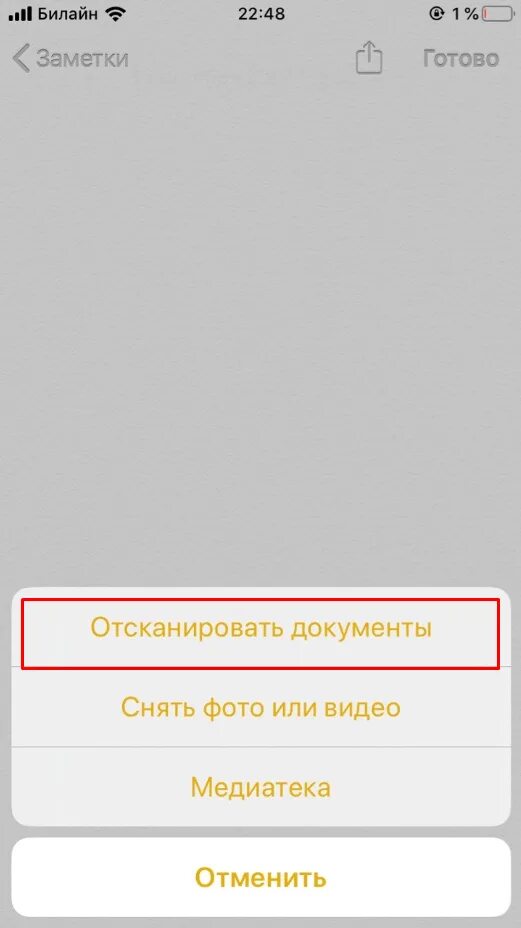 Как отсканировать на айфоне 11. Сканер в заметках айфона. Сканирование документов через заметки айфон. Как сделать скан документа на айфоне. Отсканировать документ на айфоне.