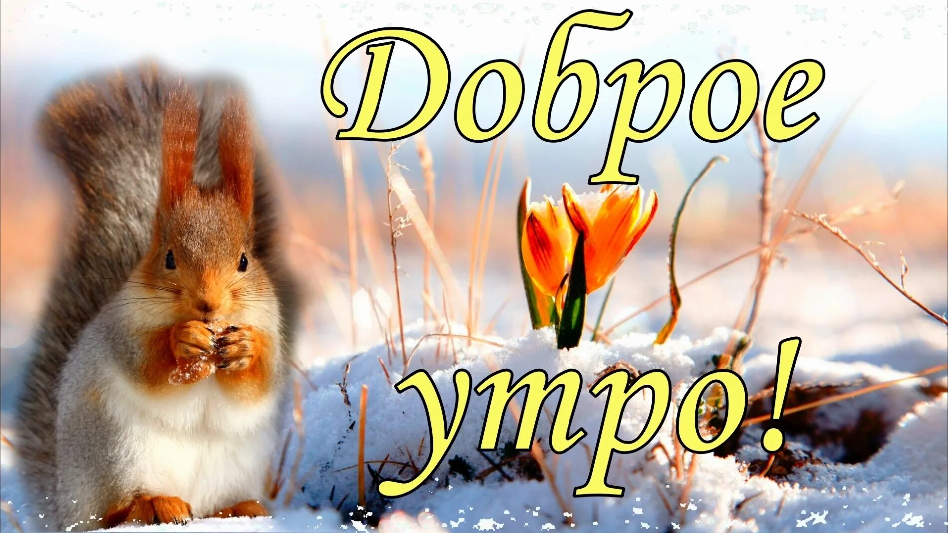 29 ноября 2023 года доброе утро. Доброе утро весеннее мартовское. открытка с добрым утром оттепель. пожелания с добрым мартовским утром. музыкальные открытки с мартовским добрым утром.