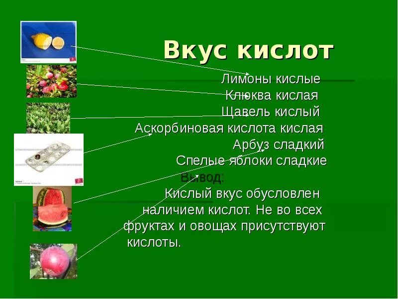 Какие мы на вкус. Кислоты в овощах и фруктах. Кислые продукты на вкус. Продукты имеющие кислый вкус. Проект овощной или фруктовый.