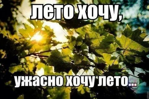 Хочется лета тепла