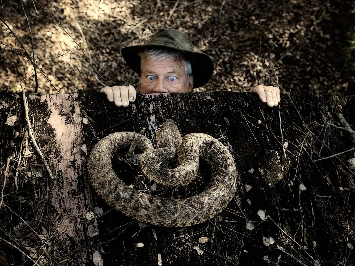 Человек боящийся змей