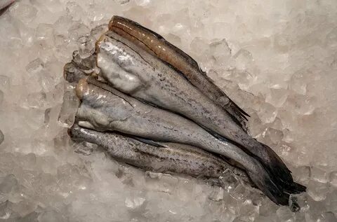 Аляскинский минтай: Полезные свойства и рецепты Эхо мгновений freebrd.ru