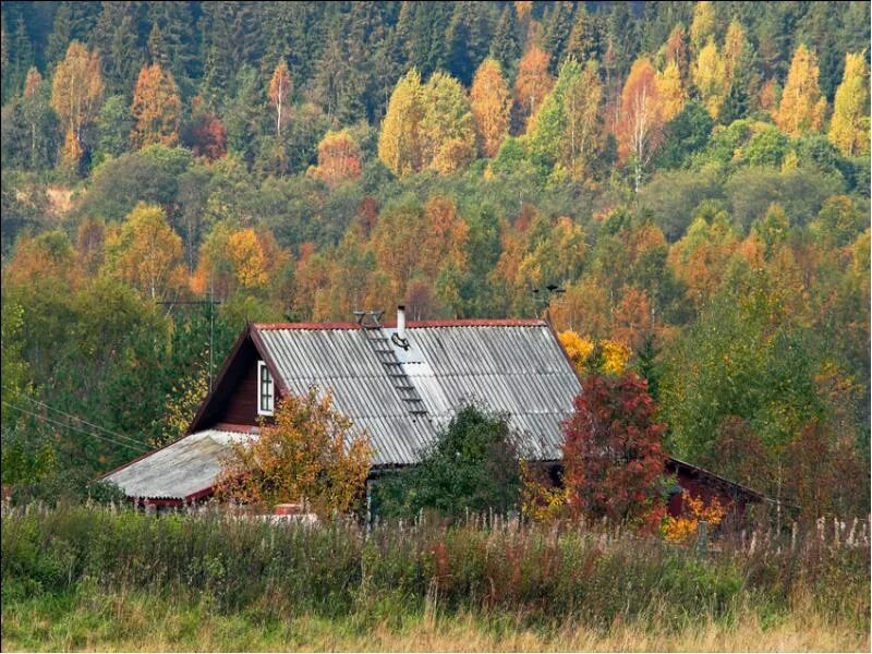 Осенняя 14