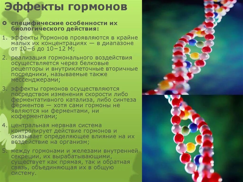 В ферменты входят гормоны. Основные эффекты гормонов. Особенности биологического действия гормонов. Эффекты действия гормонов. Биологический эффект гормонов.