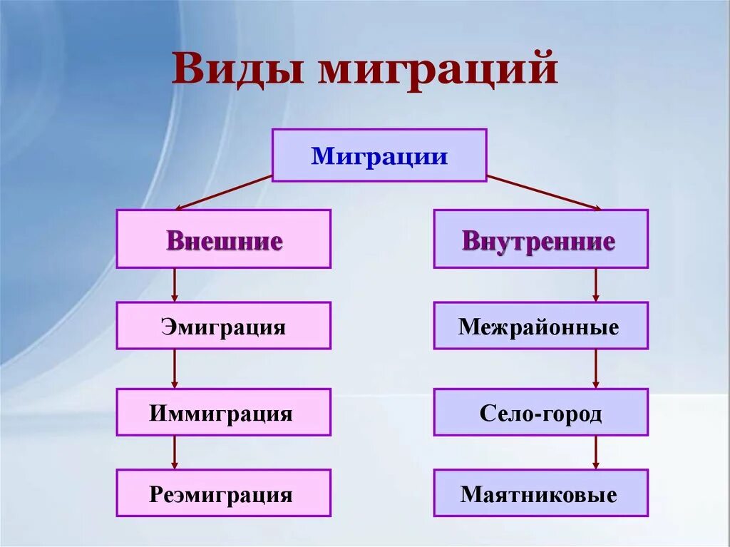 Какие виды три. Схема внутренних миграций. Схема миграции населения в России. Схема основные виды миграции. Какие виды миграции существуют.
