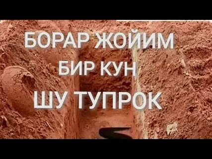 Бир кун