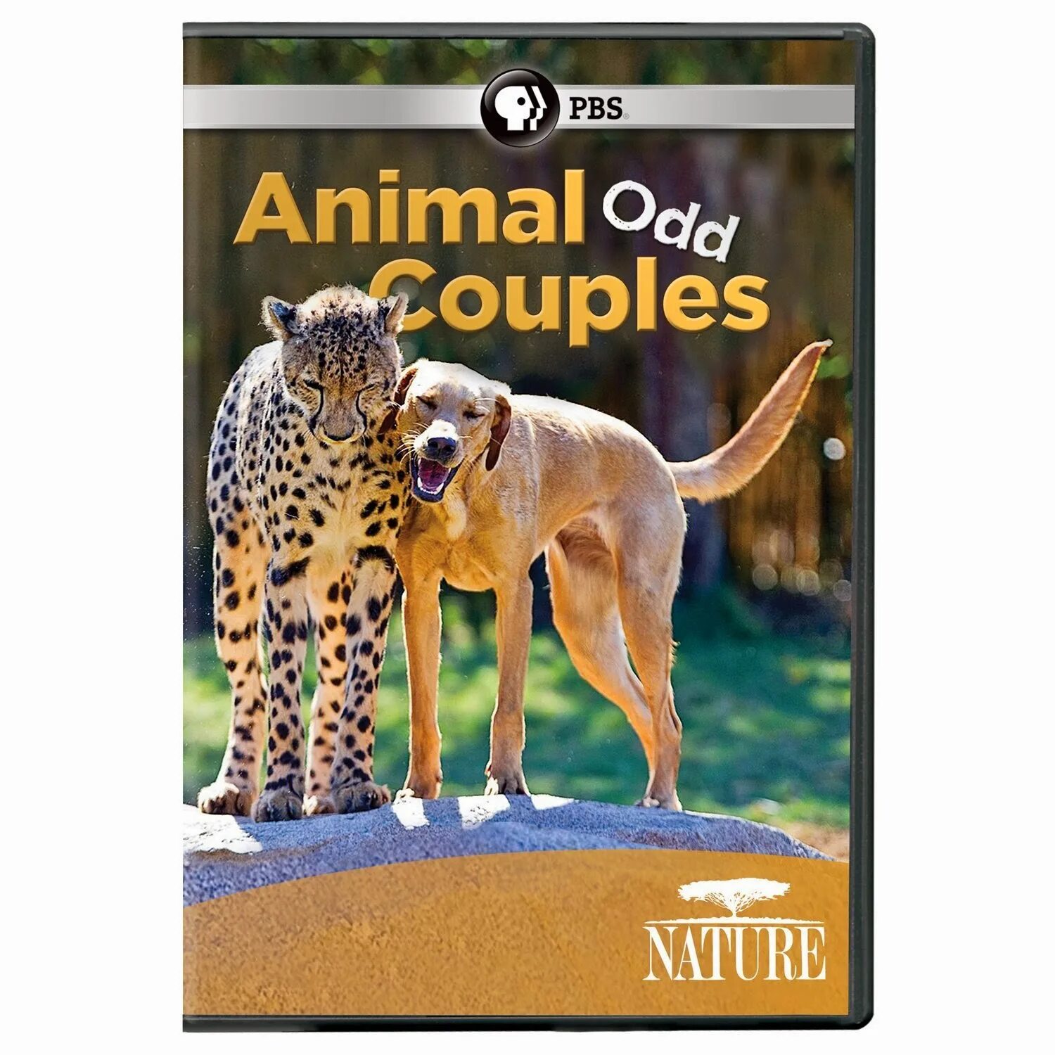 Animal coupling. PBS nature DVD. Odd animal.