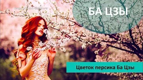 Цветок персика ба