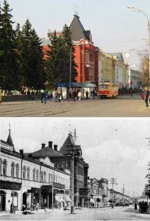 Старый орел