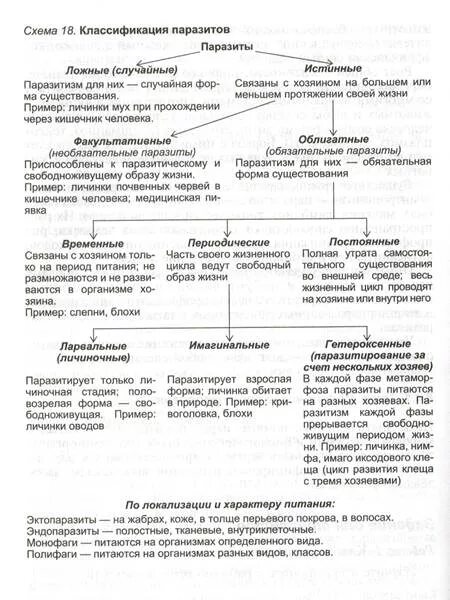 Используя содержание текста паразитические черви