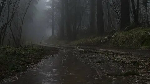 Игра дождь в лесу