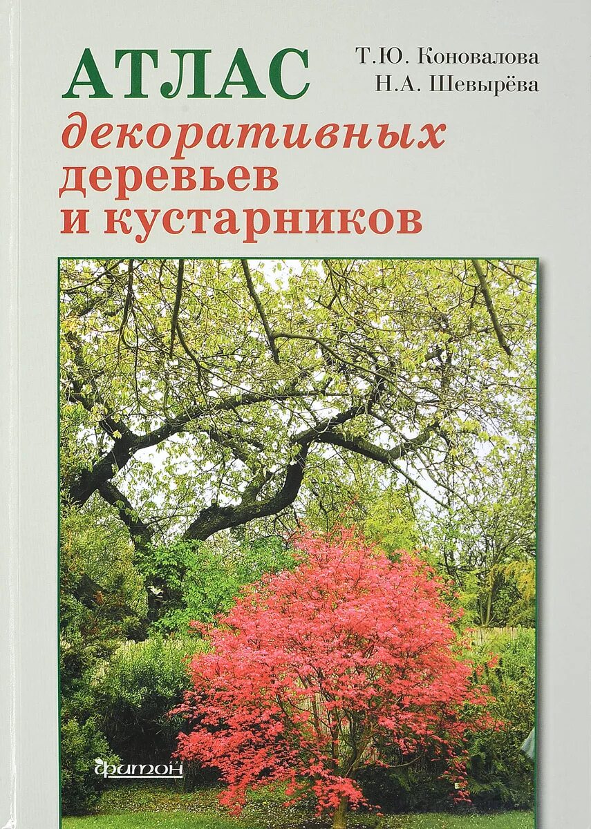 Атлас деревьев и кустарников. Н. шевырёва, т. коновалова &quot;атлас декоративных деревьев и кустарников&quot;. книга декоративные кустарники коновалова шевырева. декоративные деревья и кустарники атлас-определитель. сапелин декоративные деревья и кустарники.
