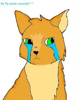 Кошки юле